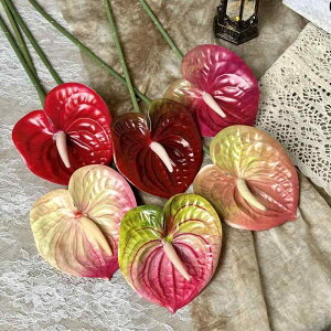 �l�H �ϗt�A�� �A���X���E�� �Ό{�� �ω��@ ���A�� ���� �c�� �C���e���A ���� �t �O���[�� ���� ���� �v���X�`�b�N �f�� �`�� ���R