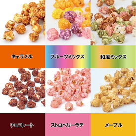 イベント業務用　ポップコーン　1kg袋入り　マッシュルーム型　キャラメル味・フルーツミックス味・和風ミックス味・チョコレート味・ストロベリーラテ味・メープル味があります。　お祭り・プチギフト・バザー・お祭り・結婚式二次会・イベントに