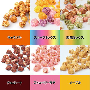 CxgƖp@|bvR[@1kgܓ@}bV[^@LEt[c~bNXEa~bNXE`R[gEXgx[eE[v܂B@