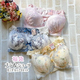 送料無料｜福袋｜E/Fカップ｜大人可愛い　ブラショーツセット　3セット レディース　インナー