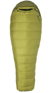 y40%OFF!!z}[bg@TOALGG3942@WE30 mJ[F9436nmKx}CiX18xnm650tBp[Q܁n