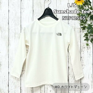 y30OFFIzUEm[XEtFCX@NTJ12565@LbYOX[uTVF[heB[m130cm-160cmnmTVcnmpnmwʃvgn[֔z(|Xg)@2025tāy