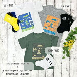 UEm[XEtFCX@NTJ32534STENNJ82411@V[gX[uVgRgReB[ELbYTNFWJ[hS3PN[Zbgm130`160cmn[֔z(|Xg)@2025tāybsO