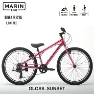 【在庫有り】マリンバイク ドンキージュニア22 リミテッド　限定カラー GLOSS SUNSET　2025年モデル MARI…