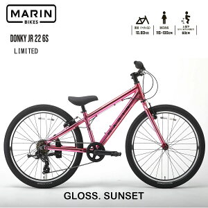 y݌ɗLz}oCN hL[WjA22 ~ebh@J[ GLOSS SUNSET@2025Nf MARINBIKE DONKY Jr22 LIMITED 22C` LbYoCN q]