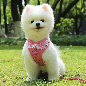 犬 首輪 鈴の人気商品 通販 価格比較 価格 Com