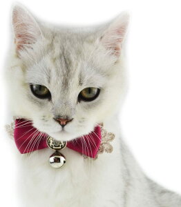 猫 首輪 リボン 鈴の人気商品 通販 価格比較 価格 Com 猫 首輪 リボン 鈴の人気商品 通販 価格比較 価格 Com