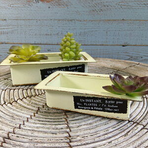 y|Cg10{zK[fjOG Aؔ v^[ uL|bg uL oPc  Jo[ K[fG K[fjO G AeB[N i`  킢 TRAY AX^