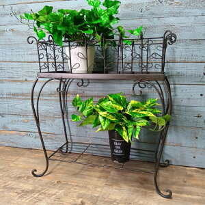 K[fjOG ԑ t[X^h I bN VFt K[fG K[fjO G AeB[N i`  킢 RACK [tEv^[X^h CG-GX-61-140