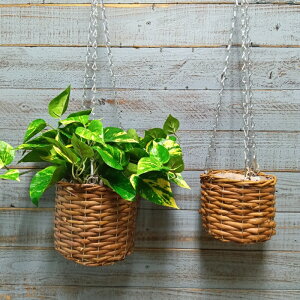 K[fjOG C[oXPbg ACAoXPbg Jo[ v^[ K[fG K[fjO G AeB[N i`  킢 BASKET nMOoXPbg|