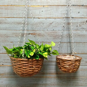 K[fjOG C[oXPbg ACAoXPbg Jo[ v^[ K[fG K[fjO G AeB[N i`  킢 NATURAL nMOoXPbg