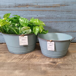 K[fjOG Aؔ v^[ uL|bg uL oPc  Jo[ K[fG K[fjO G AeB[N i`  킢 BOWL O[YEhSET2 YZ-MH1