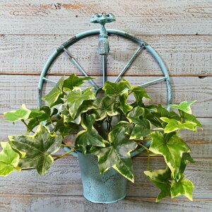 K[fjOG Aؔ v^[ uL|bg uL oPc  Jo[ K[fG K[fjO G AeB[N i`  킢 HANG ^bvEB[|bgBL YZ-UM