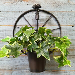 K[fjOG Aؔ v^[ uL|bg uL oPc  Jo[ K[fG K[fjO G AeB[N i`  킢 HANG ^bvEB[|bgBK YZ-UM