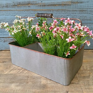 K[fjOG Aؔ v^[ uL|bg uL oPc  Jo[ K[fG K[fjO G AeB[N i`  킢 TRAY p[e[V{bNX PL-6