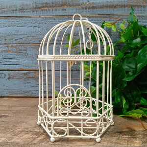 K[fjOG  I[ig IuWF u   x_  K[fG K[fjO G AeB[N i`  킢 CAGE o[hP[Wt[h[ 