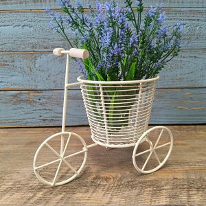 yő2,000~N[|zK[fjOG O֎ u I[ig IuWF u   x_  K[fG K[fjO G AeB[N i`  킢 ORNAME