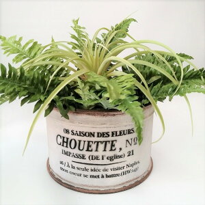 y|Cg10{zK[fjOG Aؔ v^[ uL|bg uL oPc  Jo[ K[fG K[fjO G AeB[N i`  킢 BOWL VEGb