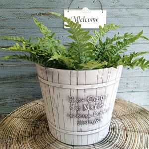 K[fjOG Aؔ v^[ |bg vX`bN  Jo[ K[fG K[fjO G AeB[N i`  킢 FLOWER2 OCT[N YZ-MS1127-8