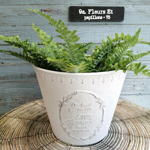 K[fjOG Aؔ v^[ |bg vX`bN  Jo[ K[fG K[fjO G AeB[N i`  킢 FLOWER2 ~eBR[oPb