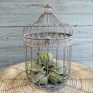 K[fjOG  I[ig IuWF u   x_  K[fG K[fjO G AeB[N i`  킢 CAGE Vr[o[hP[W MT-7085-8