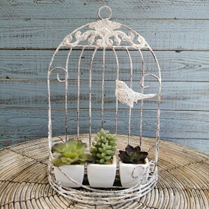 K[fjOG  I[ig IuWF u   x_  K[fG K[fjO G AeB[N i`  킢 CAGE o[hoRj[ TD-ND44892-80