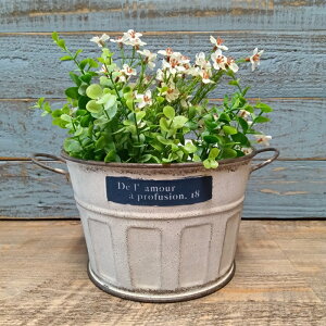 K[fjOG Aؔ v^[ uL|bg uL oPc  Jo[ K[fG K[fjO G AeB[N i`  킢 BOWL ZeBAEh YZ-UN2294-