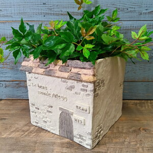 yő2,000~N[|zK[fjOG Aؔ v^[ OXt@Co[ FRP   Jo[ K[fG K[fjO G AeB[N i`  킢 FIBER k