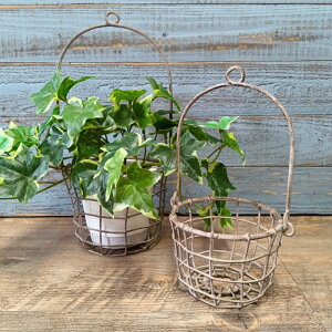 K[fjOG C[oXPbg ACAoXPbg Jo[ v^[ K[fG K[fjO G AeB[N i`  킢 WIRE nMO|bgJo[SE