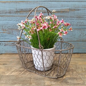 K[fjOG C[oXPbg ACAoXPbg Jo[ v^[ K[fG K[fjO G AeB[N i`  킢 WIRE t[oXPbg PL-6342