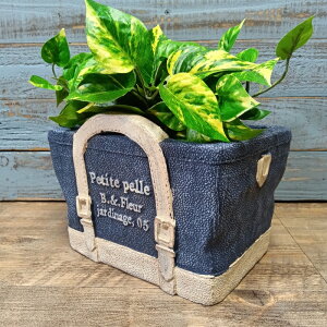 K[fjOG Aؔ v^[ OXt@Co[ FRP   Jo[ K[fG K[fjO G AeB[N i`  킢 FIBER Be[WfjobO CN-