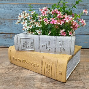 K[fjOG Aؔ v^[ OXt@Co[ FRP   Jo[ K[fG K[fjO G AeB[N i`  킢 FIBER [|bV YZ-GF3351-80