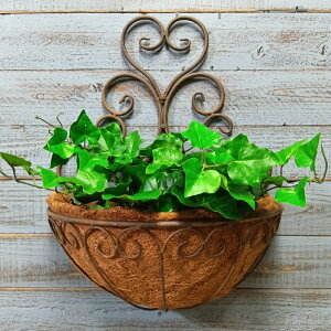 K[fjOG nMOoXPbg ACAoXPbg ݂艺 Ǌ| K[fG K[fjO G AeB[N i`  킢 BASKET EH[RRv^[ MT