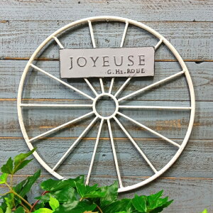 K[fjOG ԗ I[ig IuWF u   x_  K[fG K[fjO G AeB[N i`  킢 WHEEL W[YWH YZ-UN2342-100