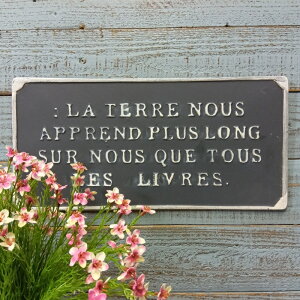 K[fjOG v[g I[ig IuWF u   x_  K[fG K[fjO G AeB[N i`  킢 SIGNPLATE e[v[g YZ-UN23