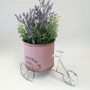 y|Cg10{zK[fjOG Aؔ v^[ uL|bg uL oPc  Jo[ K[fG K[fjO G AeB[N i`  킢 CART T[NJ