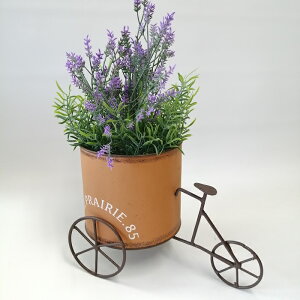 y|Cg10{zK[fjOG Aؔ v^[ uL|bg uL oPc  Jo[ K[fG K[fjO G AeB[N i`  킢 CART T[NJ