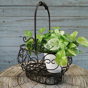 K[fjOG C[oXPbg ACAoXPbg Jo[ v^[ K[fG K[fjO G AeB[N i`  킢 WIRE NVJEI[oo