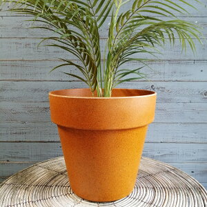 y|Cg10{zK[fjOG Aؔ v^[ |bg vX`bN  Jo[ K[fG K[fjO G AeB[N i`  킢 FLOWER2 GVJ