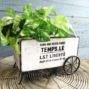 y|Cg10{zK[fjOG Aؔ v^[ uL|bg uL oPc  Jo[ K[fG K[fjO G AeB[N i`  킢 CART ^J[g