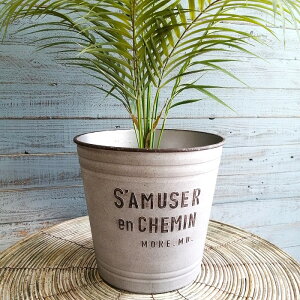 K[fjOG Aؔ v^[ |bg vX`bN  Jo[ K[fG K[fjO G AeB[N i`  킢 FLOWER2 T~[T[N YZ-MS1305-1