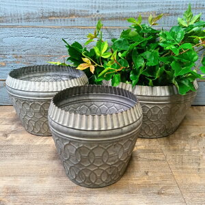 yő2,000~N[|zK[fjOG Aؔ v^[ uL|bg uL oPc  Jo[ K[fG K[fjO G AeB[N i`  킢 BUCKET 