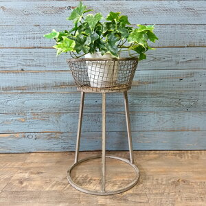 K[fjOG ԑ t[X^h I bN VFt K[fG K[fjO G AeB[N i`  킢 RACK bVt[X^hS PL-63431-100