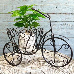 K[fjOG ԑ t[X^h I bN VFt K[fG K[fjO G AeB[N i`  킢 RACK oCVNv^[ MT-6356-120