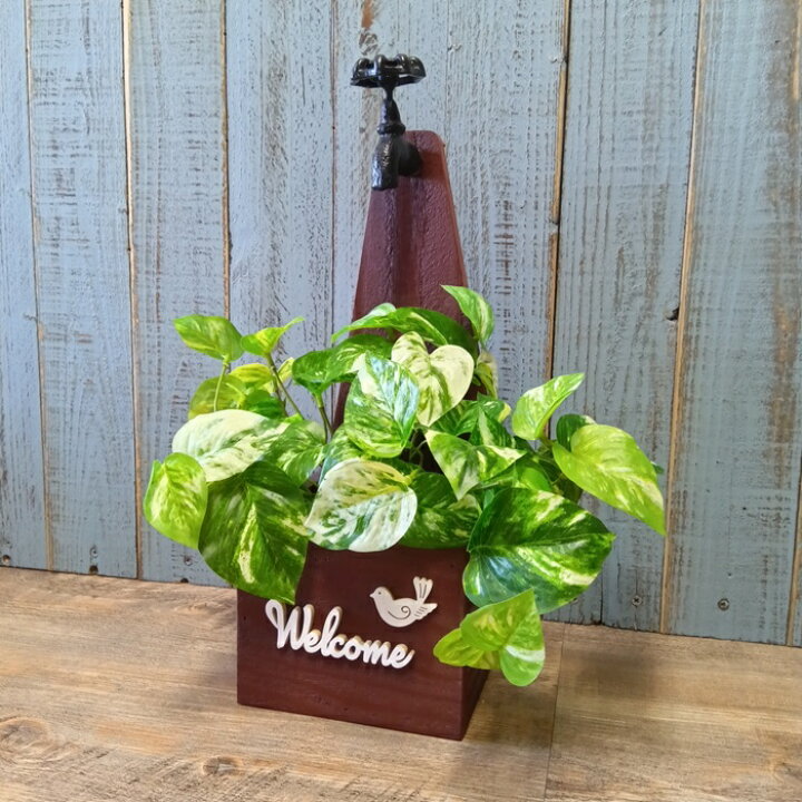 楽天市場】ガーデニング雑貨 ウッドプランター 木箱 ウッドボックス  