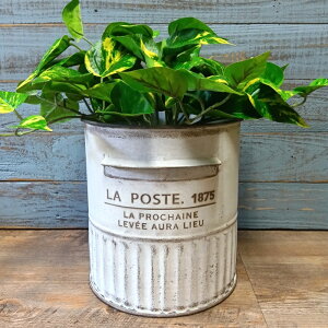 K[fjOG Aؔ v^[ uL|bg uL oPc  Jo[ K[fG K[fjO G AeB[N i`  킢 BUCKET vV YZ-UN2109-80