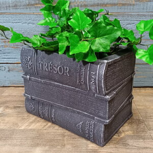 K[fjOG Aؔ v^[ OXt@Co[ FRP   Jo[ K[fG K[fjO G AeB[N i`  킢 FIBER Be[WubNA CN-GFB418BK