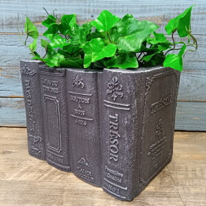 K[fjOG Aؔ v^[ OXt@Co[ FRP   Jo[ K[fG K[fjO G AeB[N i`  킢 FIBER Be[WubNB CN-GFB419BK