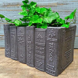 K[fjOG Aؔ v^[ OXt@Co[ FRP   Jo[ K[fG K[fjO G AeB[N i`  킢 FIBER Be[WubNC CN-GFB420BK