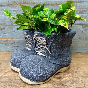 K[fjOG Aؔ v^[ OXt@Co[ FRP   Jo[ K[fG K[fjO G AeB[N i`  킢 FIBER Be[Wfju[c CN-